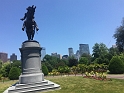 BOS-Common_6-2018 (8)